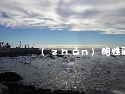 戰(zhàn)略性融資合作協(xié)議