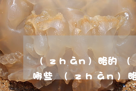 戰(zhàn)略的構(gòu)成要素有哪些(戰(zhàn)略的構(gòu)成要素有哪些 管理學(xué)基礎(chǔ))