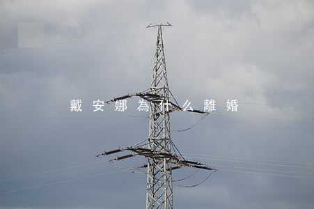 戴安娜為什么離婚