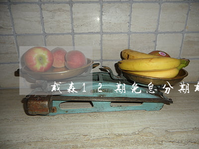 戴森12期免息分期(戴森專柜可以分期嗎)