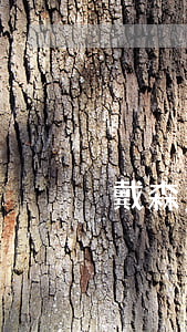 戴森免息分期多少錢-戴森24期免息