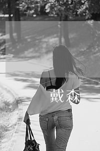 戴森雙十一分期免息(戴森雙十一分期免息)