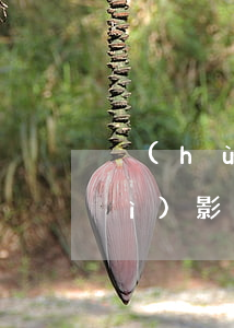 戶(hù)主欠網(wǎng)貸會(huì)影響其他人嗎(欠網(wǎng)貸不還會(huì)影響別人嗎)