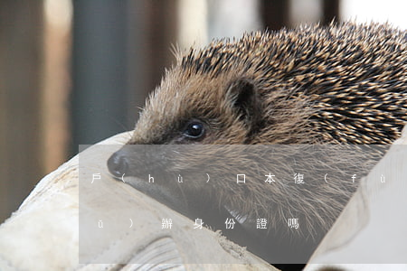 戶(hù)口本復(fù)印件可以補(bǔ)辦身份證嗎