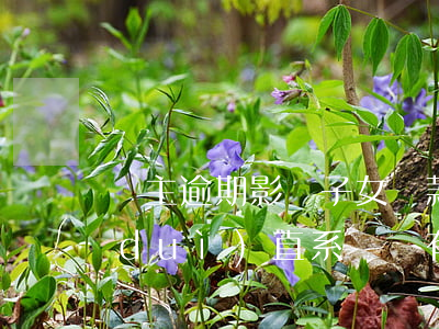 戶主逾期影響子女貸款嗎(家人貸款逾期對(duì)直系親屬有什么影響)