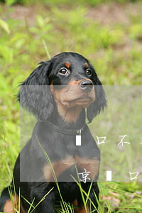 戶口不在北京可以在北京離婚嗎(離婚孩子北京戶口可以不遷嗎)