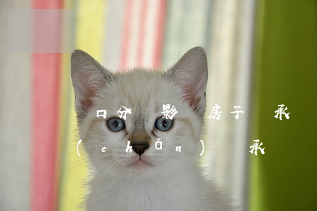 戶口分戶影響房子繼承嗎(戶口本分戶與房產(chǎn)繼承)