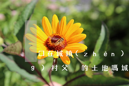 戶口在城鎮(zhèn)能繼承農(nóng)村父毌的土地嗎(城鎮(zhèn)居民可以繼承農(nóng)村父母土地嗎)