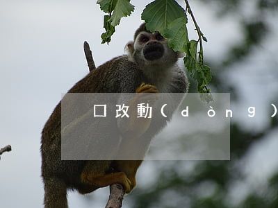 戶口改動(dòng)離婚怎么辦