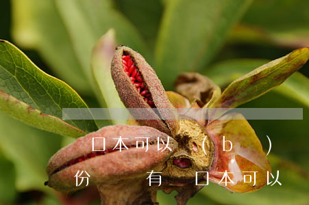 戶口本可以補(bǔ)辦嗎(補(bǔ)辦身份證沒有戶口本可以補(bǔ)辦嗎)