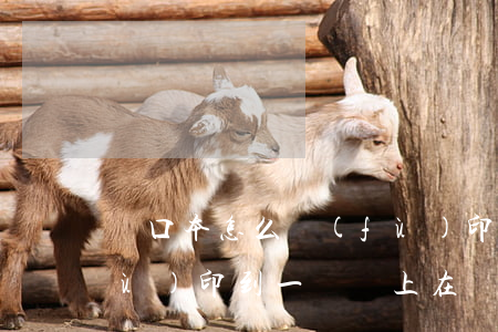 戶口本怎么復(fù)印(戶口本怎么復(fù)印到一張紙上在復(fù)印機上)
