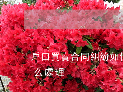 戶口買賣合同糾紛如何處理(買賣糾紛案件怎么處理)