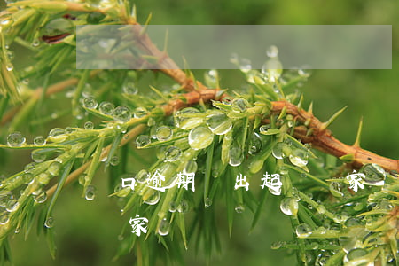 戶口逾期遷出起訴鏈家-戶口逾期遷出起訴鏈家