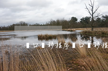戶口遷移程序(戶口遷移程序怎么走)