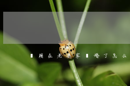 戶籍在老婆家離婚了怎么辦