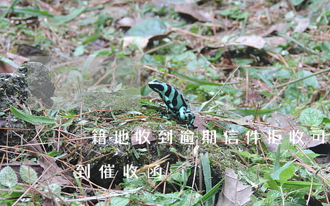 戶籍地收到逾期信件拒收可以嘛-戶籍地收到催收函