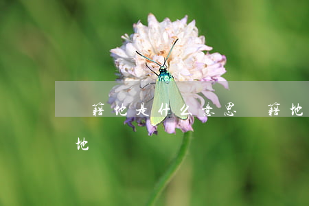 戶籍地是什么意思(戶籍地是什么意思是出生地嗎)