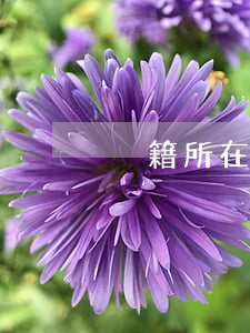 戶籍所在地是什么(戶籍所在地是什么范圍)
