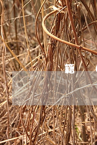 戶籍證明怎么開(個人戶籍證明怎么開)
