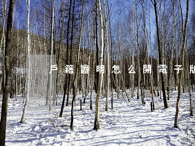戶籍證明怎么開(電子版戶籍證明怎么開)
