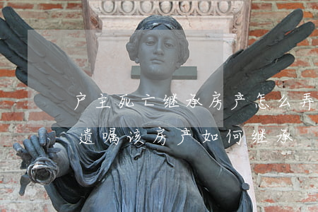户主死亡继承房产怎么弄(户主突然离世,没有遗嘱,该房产如何继承)