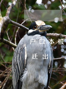户口本被拿怎么起诉离婚(起诉离婚户口怎么迁出)