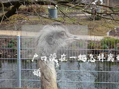 户口没在一起怎样离婚(户口没在一起怎样离婚)