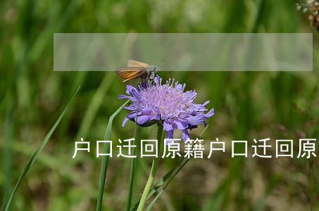 户口迁回原籍，户口迁回原籍需要什么手续