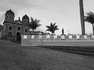房东欠网贷逾期(房东欠网贷逾期)