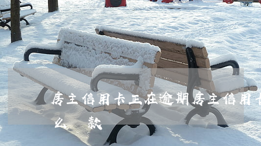 房主信用卡正在逾期 房主信用卡正在逾期怎么還款