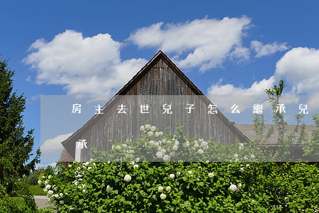 房主去世兒子怎么繼承(兒子去世房子怎么繼承)