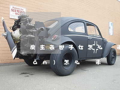 房主去世子女怎么繼承(戶主去世房產(chǎn)怎么繼承)