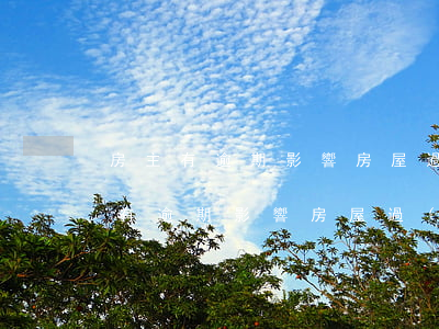 房主有逾期影響房屋過(guò)戶嗎(房主有逾期影響房屋過(guò)戶嗎)