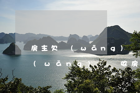 房主欠網(wǎng)貸房子受影響嗎(欠網(wǎng)貸會收房子嗎)
