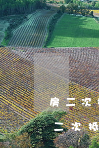 房二次抵押貸款當(dāng)前逾期(房屋二次抵押貸款)