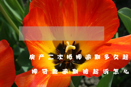 房产二次抵押逾期多久起诉二审(房子二次抵押贷款逾期被起诉怎么办)