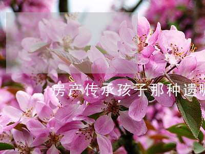 房产传承孩子，那种遗嘱形式最佳