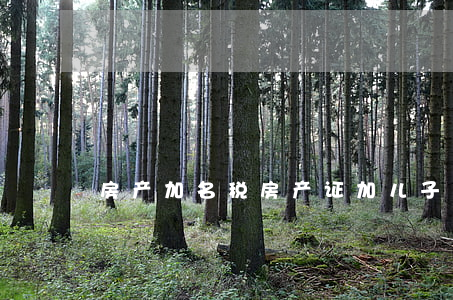 房产加名税(房产证加儿子的名字收税吗)