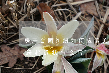 房产合同纠纷如何应诉(关于房屋买卖合同纠纷起诉状怎么写)
