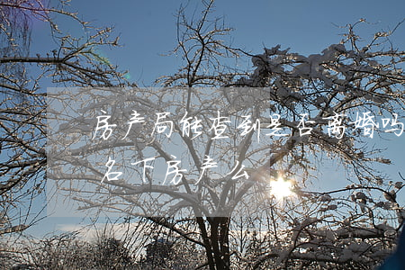 房产局能查到是否离婚吗(离婚时可以查对方名下房产么)