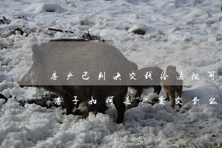 房产已判决交钱给法院可以吗(法院判给我的房子如何过户要交费么)