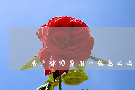 房产律师费用一般怎么收的(房产诉讼律师费)