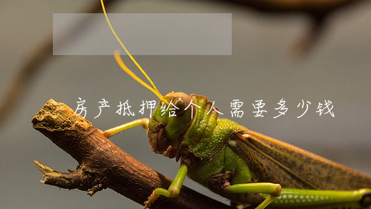 房产抵押给个人需要多少钱