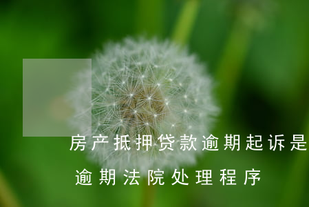 房产抵押贷款逾期起诉是什么流程（抵押贷款逾期法院处理程序）
