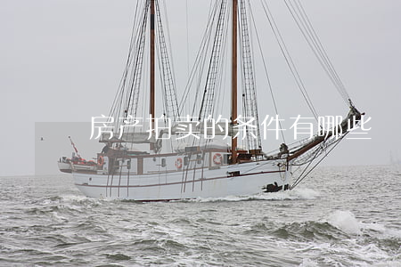 房产拍卖的条件有哪些