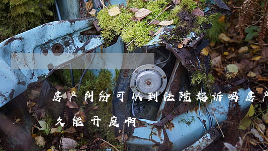 房产纠纷可以到法院起诉吗(房产纠纷起诉多久能开庭啊)