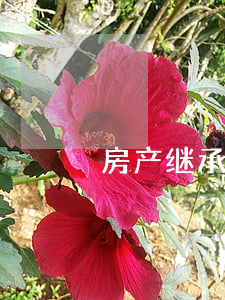 房产继承书样板(房产继承书样本)