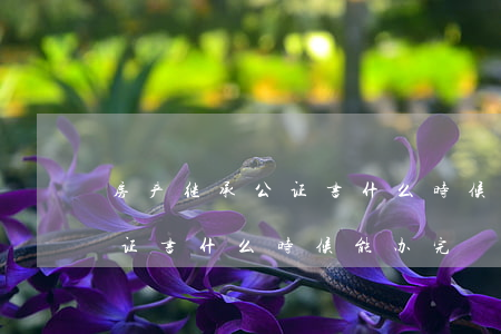 房产继承公证书什么时候能办完(房产继承公证书什么时候能办完)