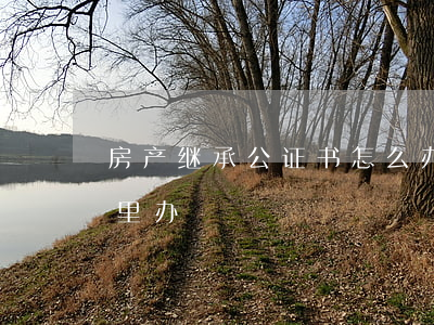 房产继承公证书怎么办理(房产继承公证到哪里办)