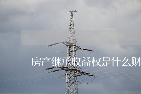 房产继承收益权是什么(财产继承权)